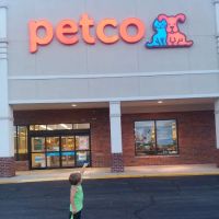 Petco ico