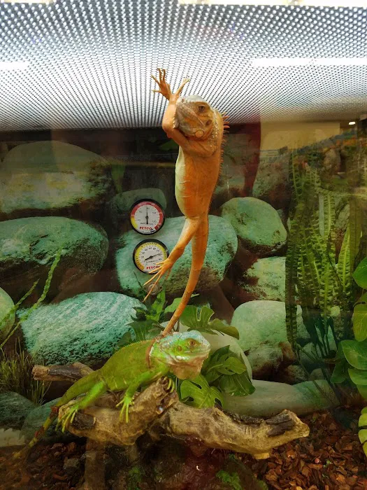 Petco 3
