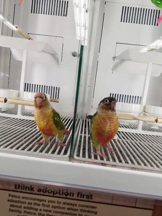 Petco 2