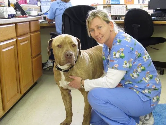 Cherokee Animal Clinic 12