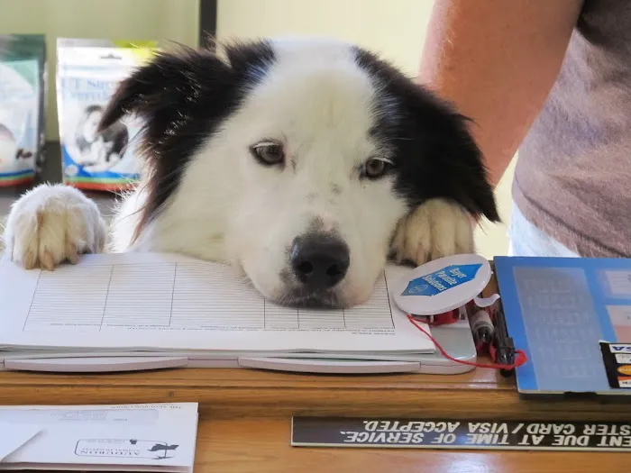 Cherokee Animal Clinic 12