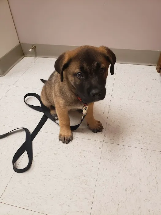 Evergreen Animal Hospital 12