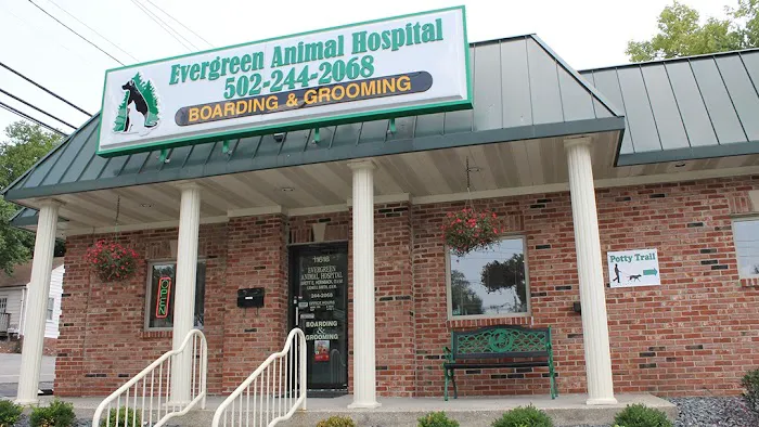 Evergreen Animal Hospital 12