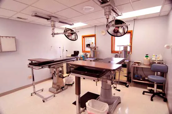 Evergreen Animal Hospital 12