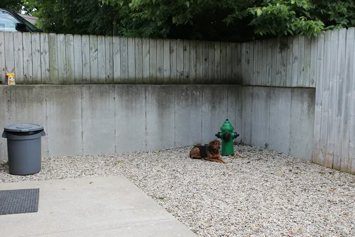 Evergreen Animal Hospital 12