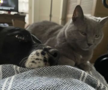 Eastpoint Veterinary Clinic