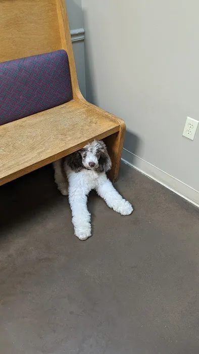 Eastpoint Veterinary Clinic 12