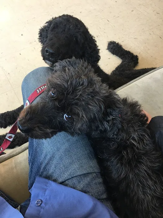 Eastpoint Veterinary Clinic 12