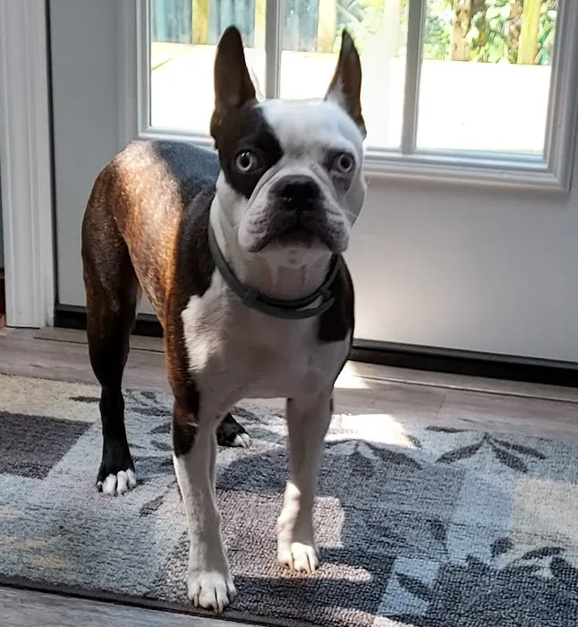 Eastpoint Veterinary Clinic 12