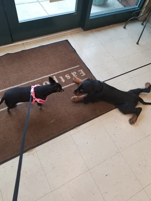 Eastpoint Veterinary Clinic 12