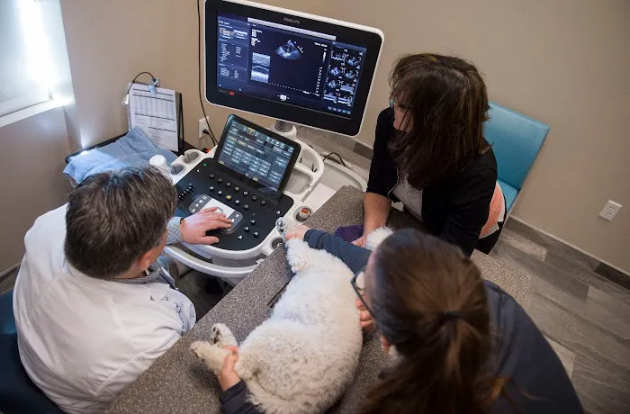 CVCA Cardiac Care For Pets 12