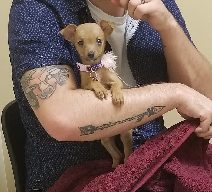 BluePearl Pet Hospital 12