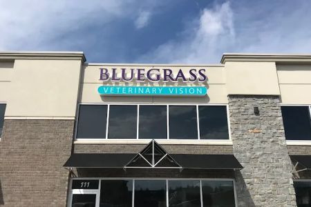 Bluegrass Veterinary Vision