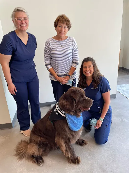 Bluegrass Veterinary Vision 12