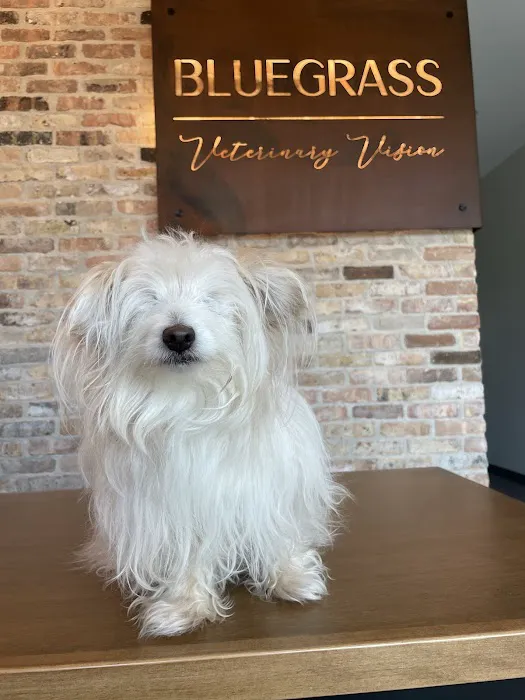 Bluegrass Veterinary Vision 12