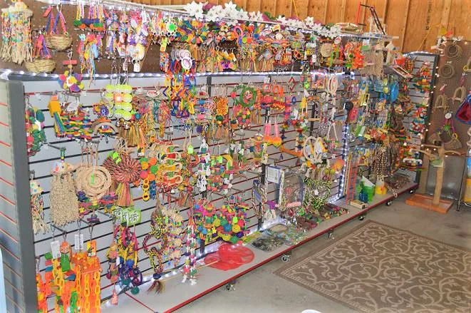 Sissy's Bird Colony LLC 2