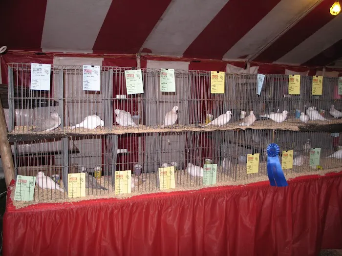 Sissy's Bird Colony LLC 6