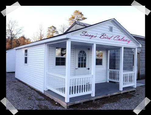 Sissy's Bird Colony LLC 1