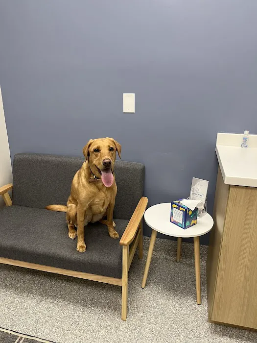 Louisville Veterinary Urgent Care 12
