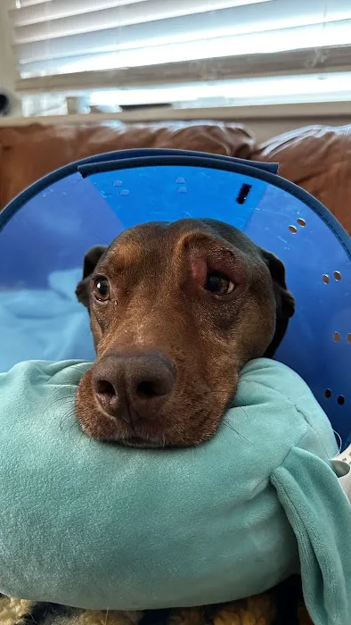 Louisville Veterinary Urgent Care 12