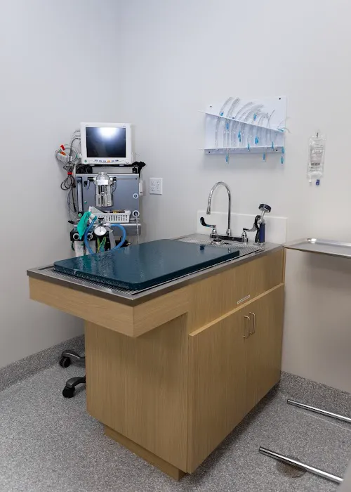 Louisville Veterinary Urgent Care 12