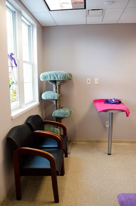 Animal Medical Center of Middletown 12