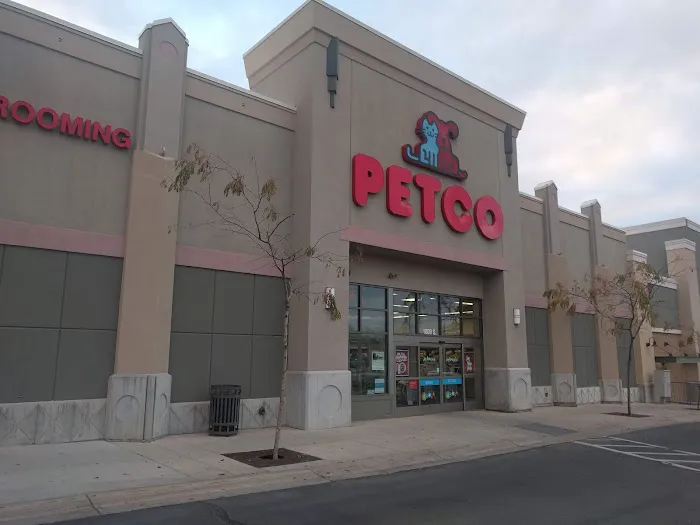 Petco 12