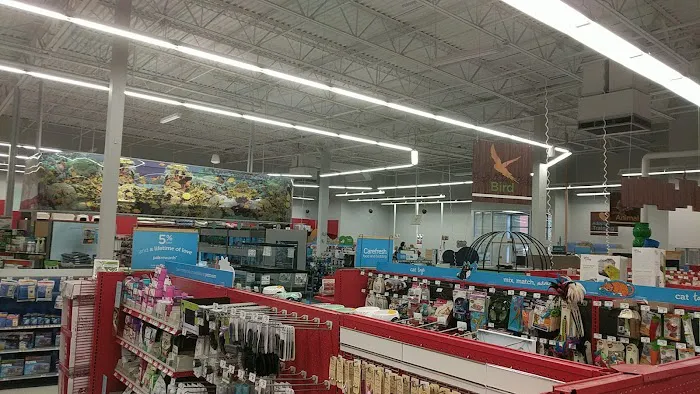 Petco 12
