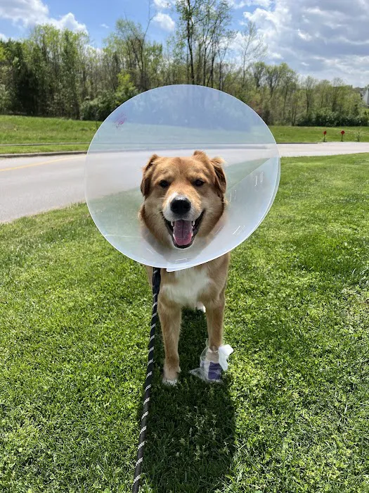 Shelbyville Road Veterinary Clinic 12