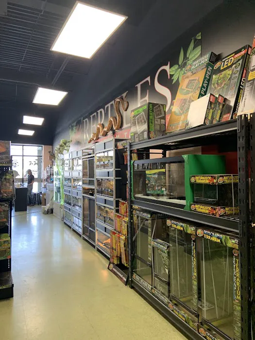 Scales Exotic Reptiles Pet Shop 12