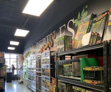 Scales Exotic Reptiles Pet Shop