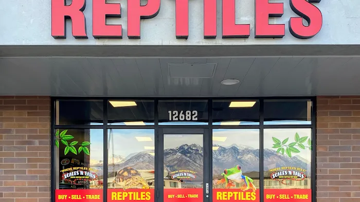 Scales Exotic Reptiles Pet Shop 12