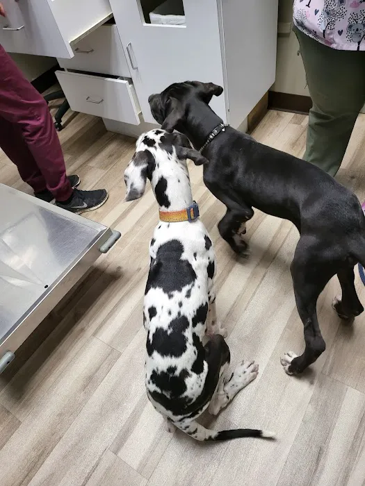 Park Hills Animal Hospital 12