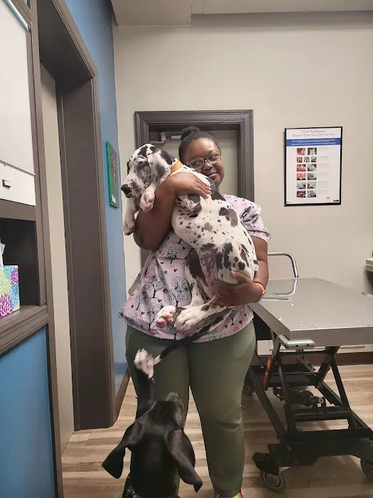 Park Hills Animal Hospital 12
