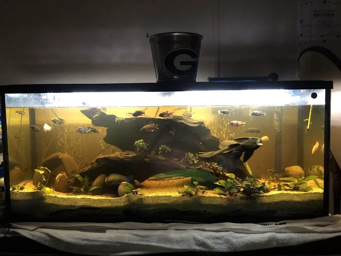 Live Fish Direct 12