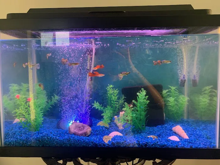 Live Fish Direct 12