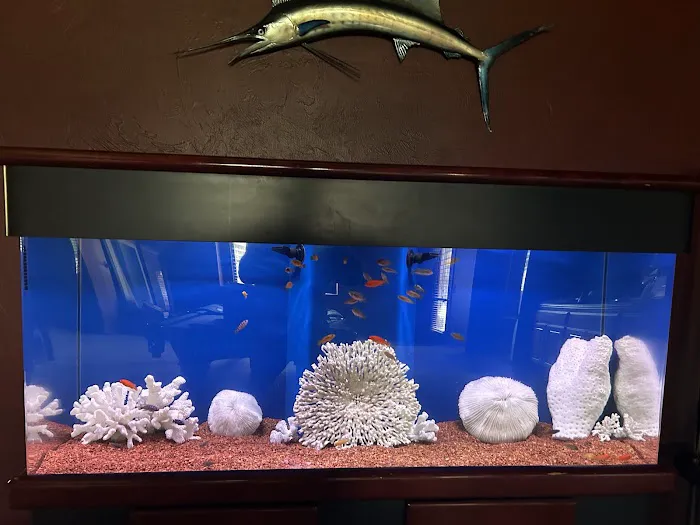 Live Fish Direct 12
