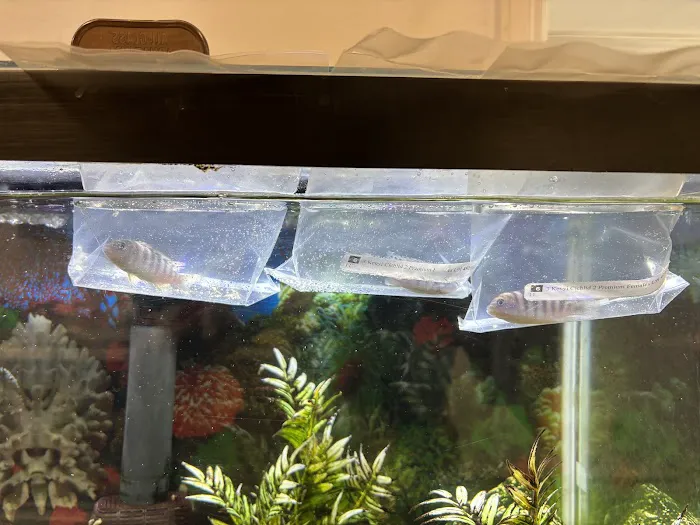 Live Fish Direct 12