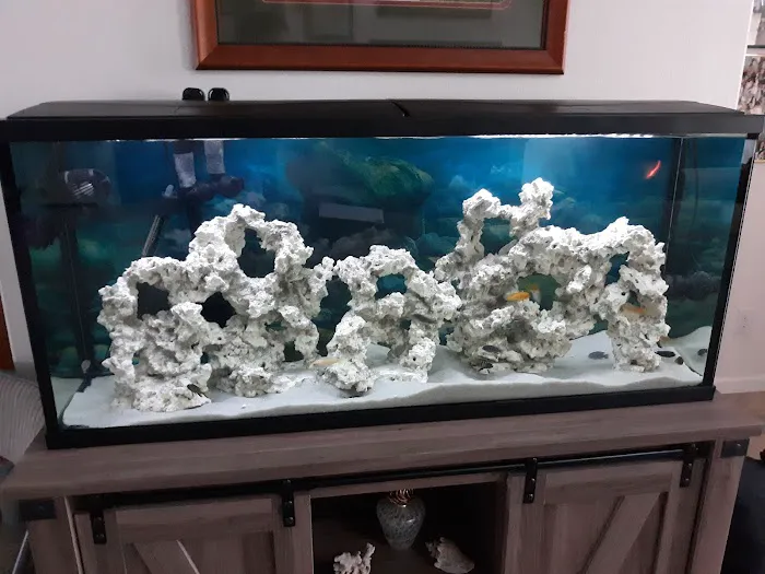 Live Fish Direct 12