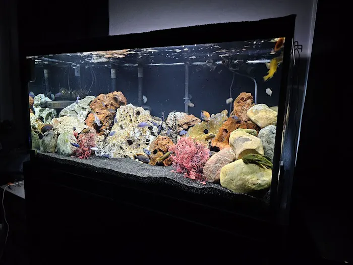 Live Fish Direct 12