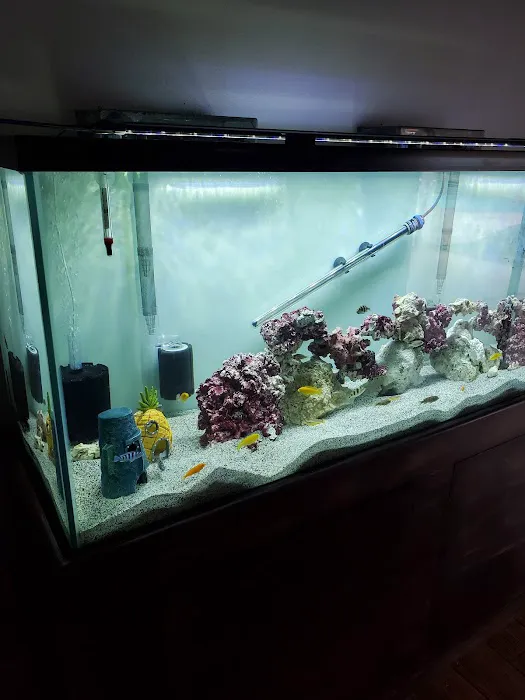 Live Fish Direct 12