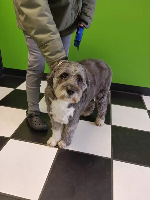 Mark Collett, DVM - Park Hills Animal Hospital 12