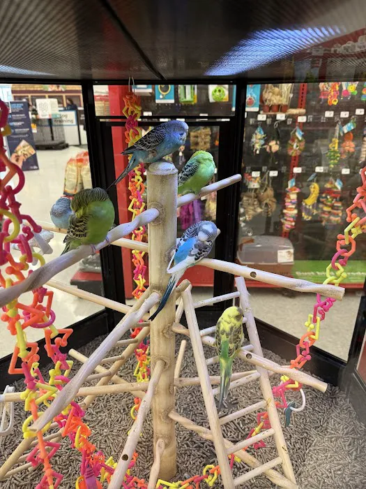 Petco 12