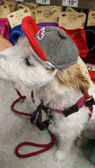 Petco 12