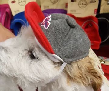 Petco