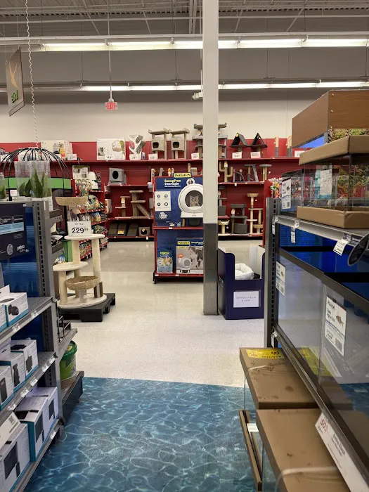 Petco 12