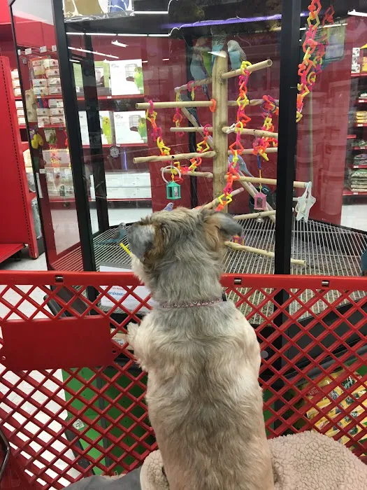 Petco 12