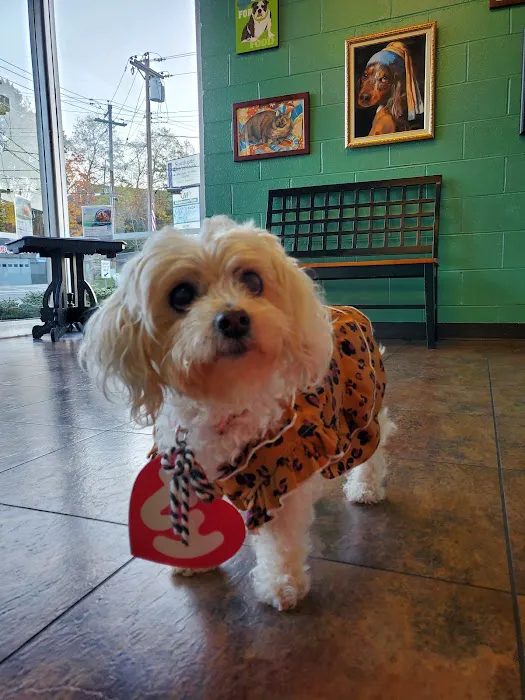 Alexandria Pike Animal Hospital PSC 12