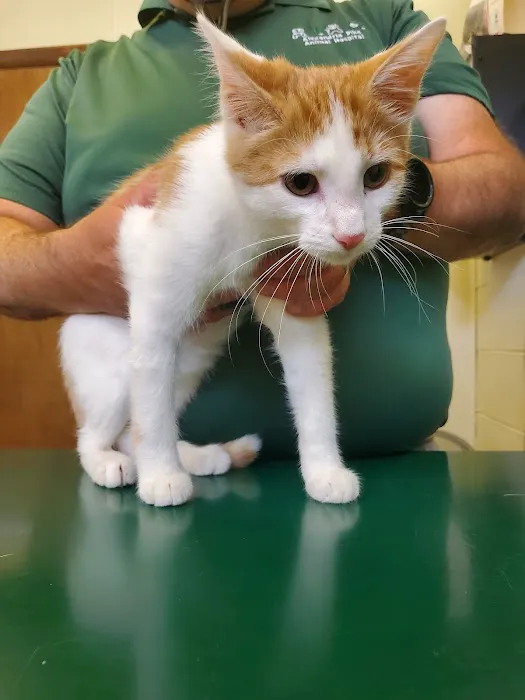 Alexandria Pike Animal Hospital PSC 12