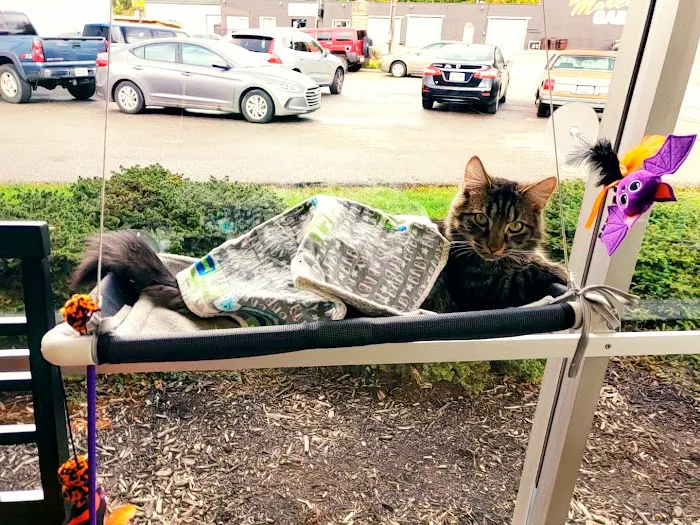 Alexandria Pike Animal Hospital PSC 12
